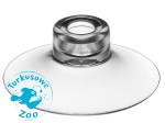 AQG PRZYSSAWKA PIN OTWÓR / SUCTION CUP 1szt