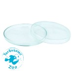 Szklany Karmnik Karmidło Krewetki 50/8mm 