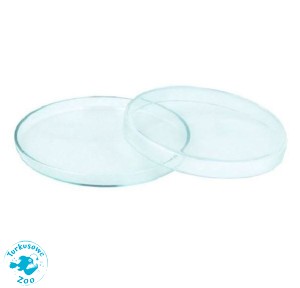 Szklany Karmnik Karmidło Krewetki 50/8mm 