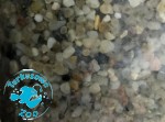 ŻWIR AKWARYSTYCZNY WIELOBARWNY "2" - żwir kwarcowy 2-4mm