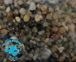 ŻWIR AKWARYSTYCZNY WIELOBARWNY "3" - żwir kwarcowy 3-5mm