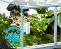 Terrarium 60x30x40 cm, 72l, 3mm - z wentylacją, wejściem na kable i uchwytami