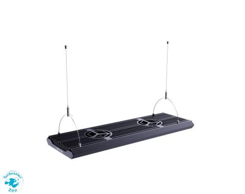 Reef flare Pro hanger strings - Linki montażowe
