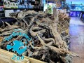 Korzeń Drift Wood - Szybko tonący