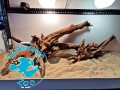 Korzeń Drift Wood - Szybko tonący