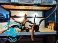 Korzeń Drift Wood - Szybko tonący