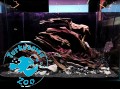 Korzeń Drift Wood - Szybko tonący 1kg