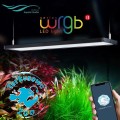 CHIHIROS LED WRGB II 45 - Oświetlenie LED z wbudowanym regulatorem natężenia światła bluetooth