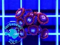 Zoanthus Fire and Ice - szczepka ok. 10 polipów