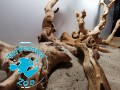Red Moor Root