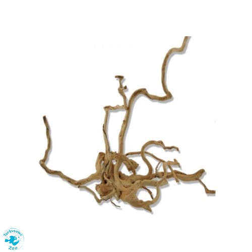 Red Moor Root