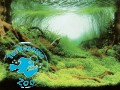 AQUA NOVA Tło 150x60cm PLANTS/OCEAN XL